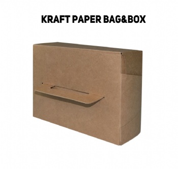  Brown Kraft Take Away Food Packaging Box	