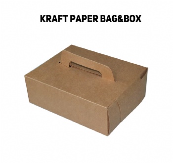  Brown Kraft Take Away Food Packaging Box	